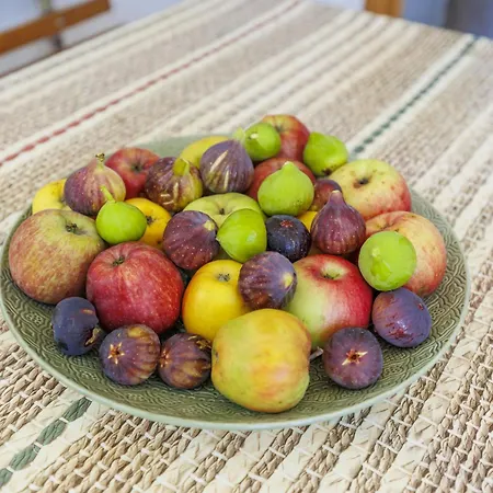 Vakantiehuis Bakic By Interhome Krnica